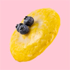Lemon x berries 00429